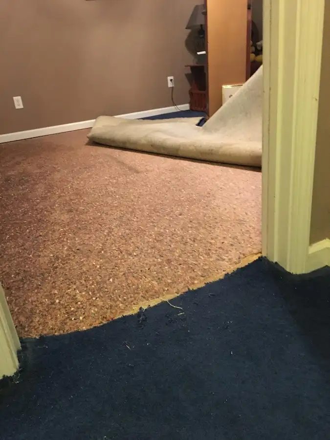Carpet pad removal revealing water damage during Drying & Dehumidification in Murillo