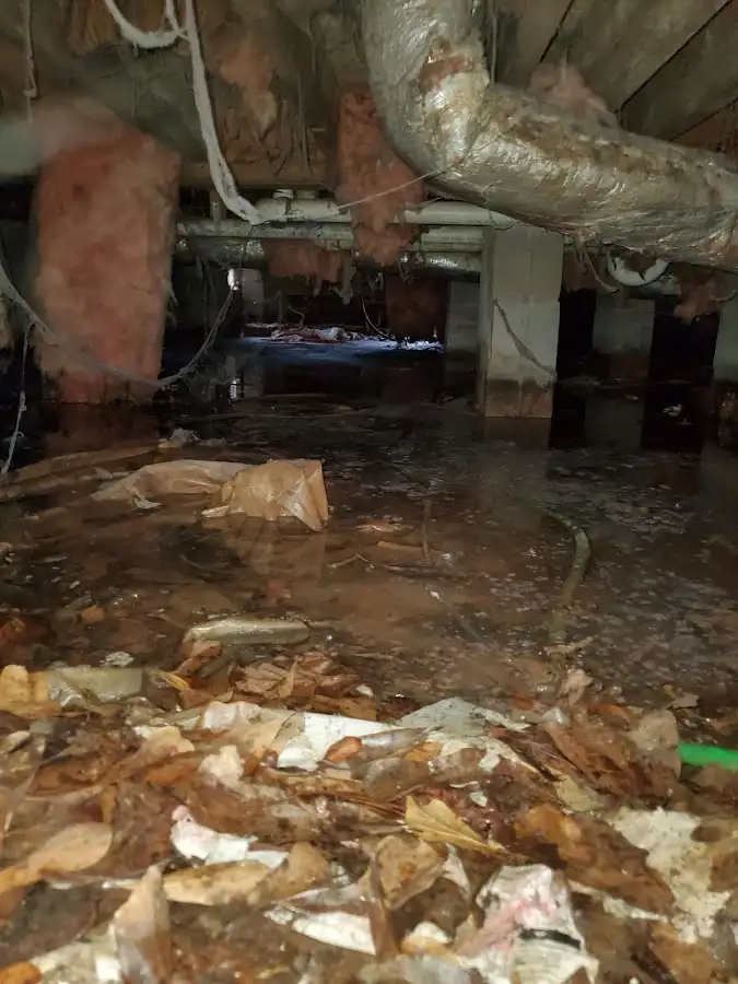Crawl space flood assessment for Leak Detection & Repair in Murillo