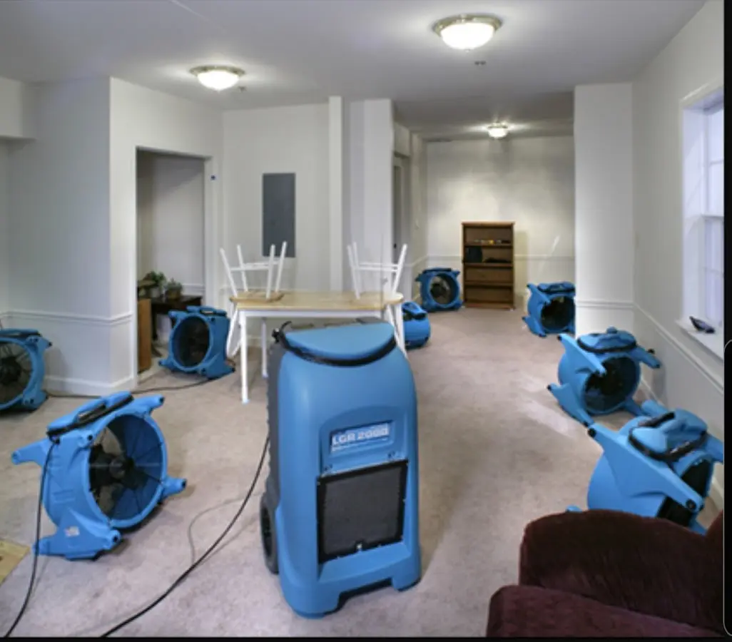 Air movers and dehumidifier setup for Water Extraction & Removal in Murillo